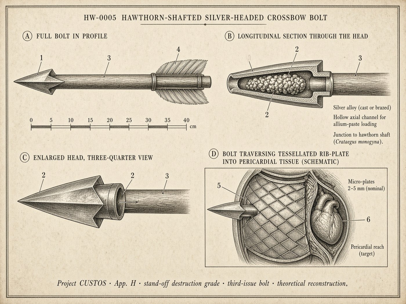 Atlas plate: Third-issue bolt. Compound head.