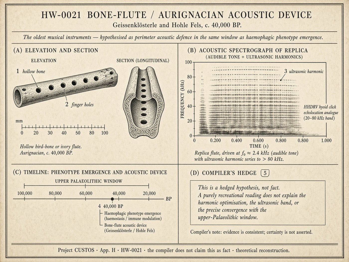 Atlas plate: Aurignacian bone-flute. Ultrasonic harmonic.