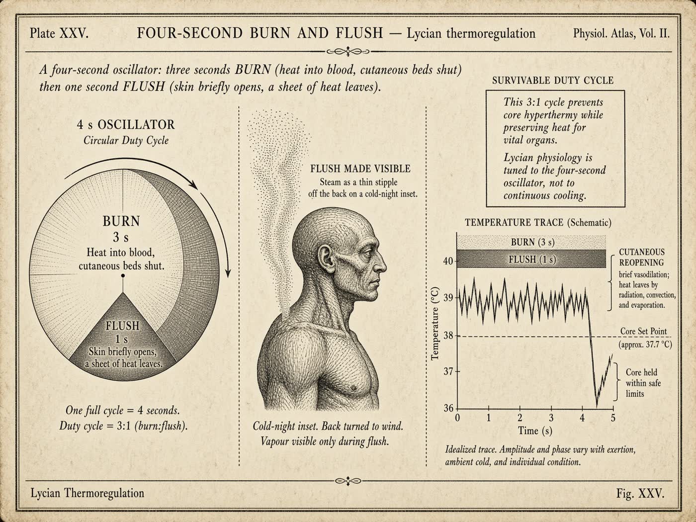 Atlas plate: The four-second burn and flush. Cutaneous flush.
