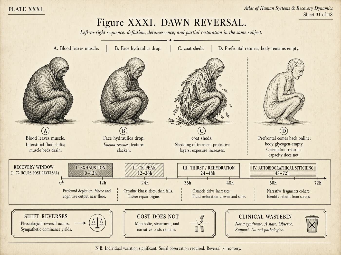 Atlas plate: Dawn reversal. Whole organism.